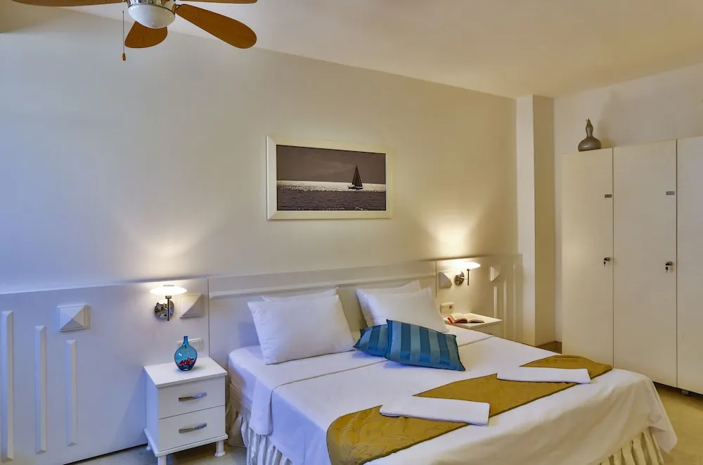 Superior Tek Büyük Yataklı Oda