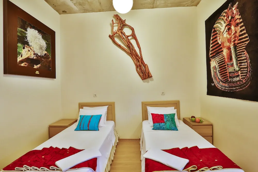 Superior İki Ayrı Yataklı Oda