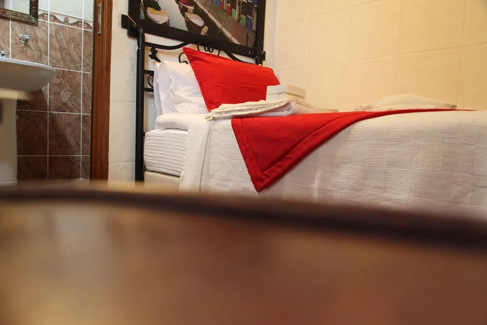 Economy Tek Kişilik Oda, 1 Tek Kişilik Yatak, Avlu Manzaralı