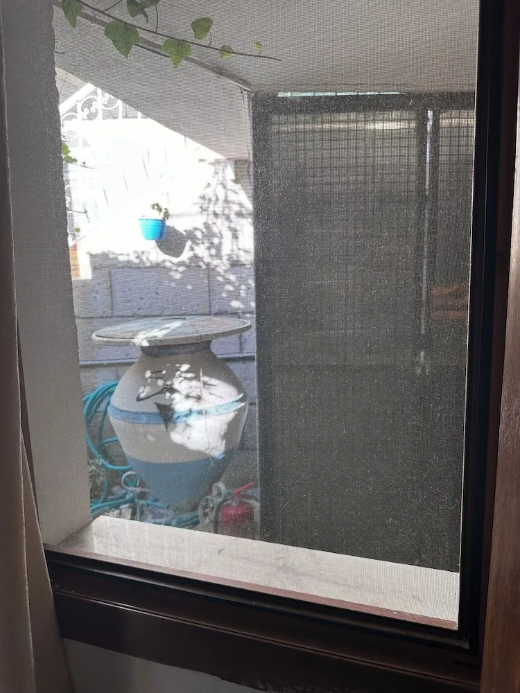 Economy Tek Kişilik Oda, 1 Tek Kişilik Yatak, Avlu Manzaralı