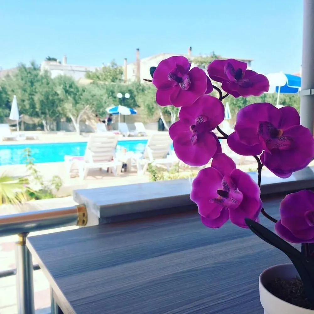 Standard Room, Pool View