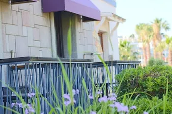 Costa Farilya Special Class Hotel - Özel Sınıf