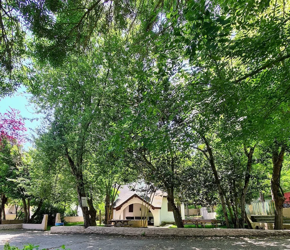 Family Villa