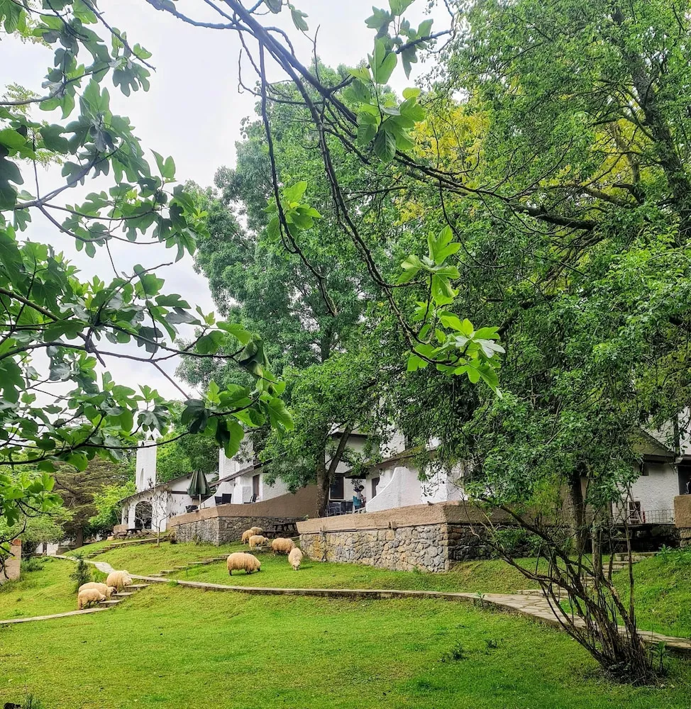Traditional Kır Evi