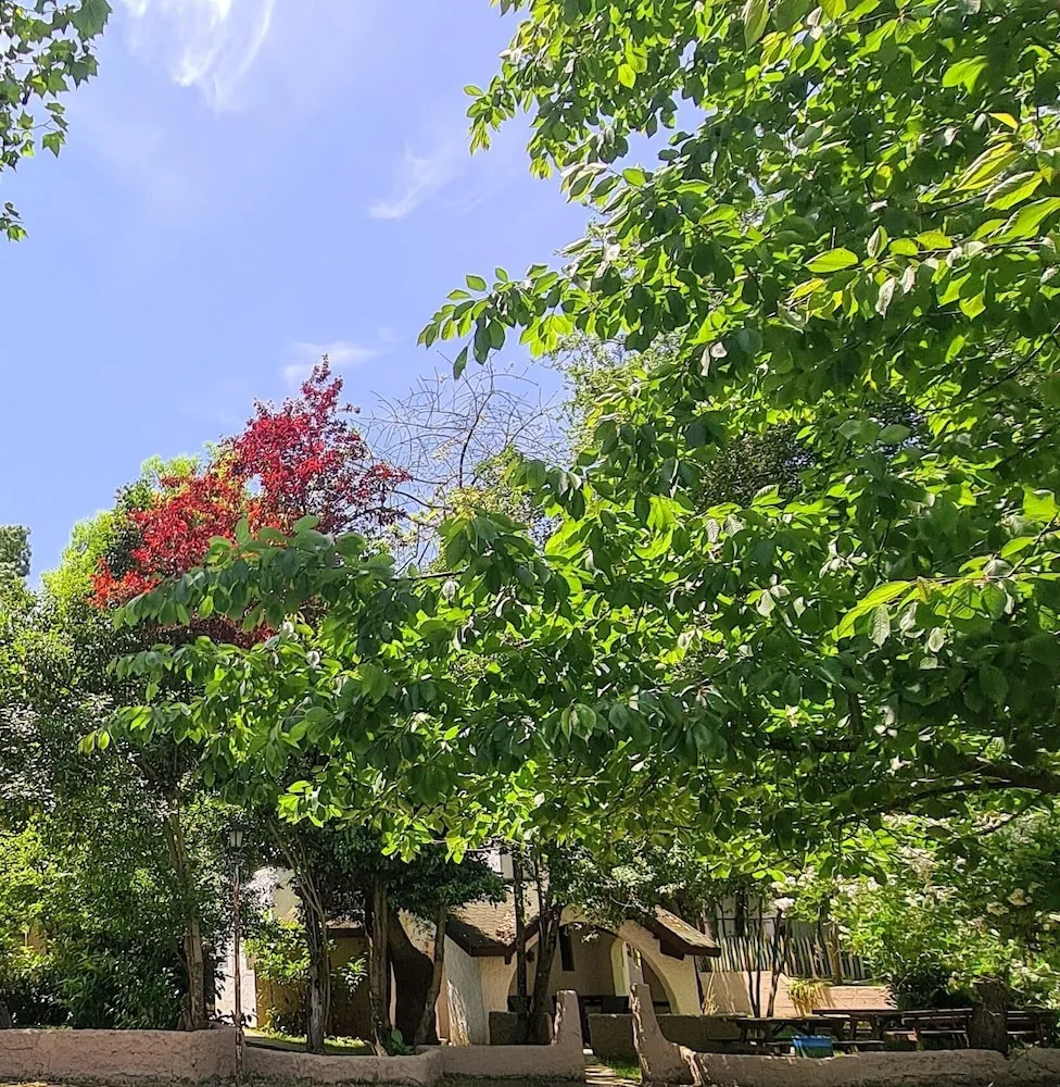 Grand Villa