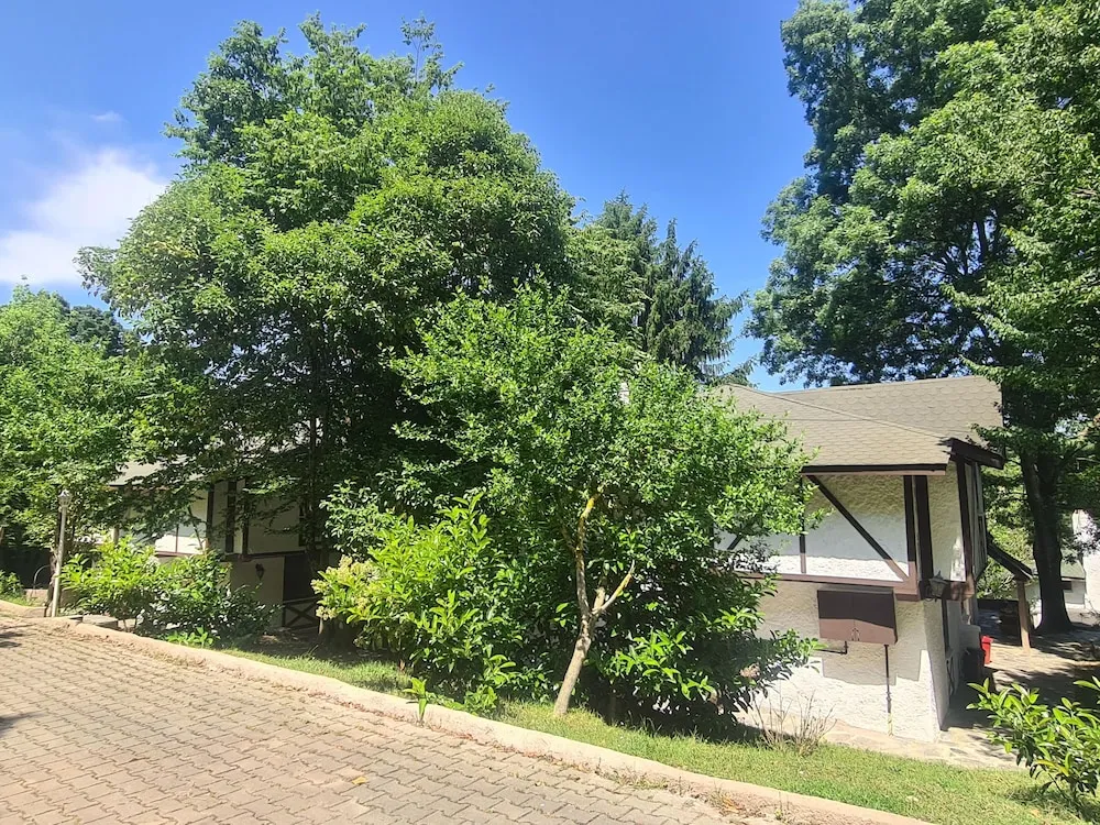 Deluxe Kır Evi