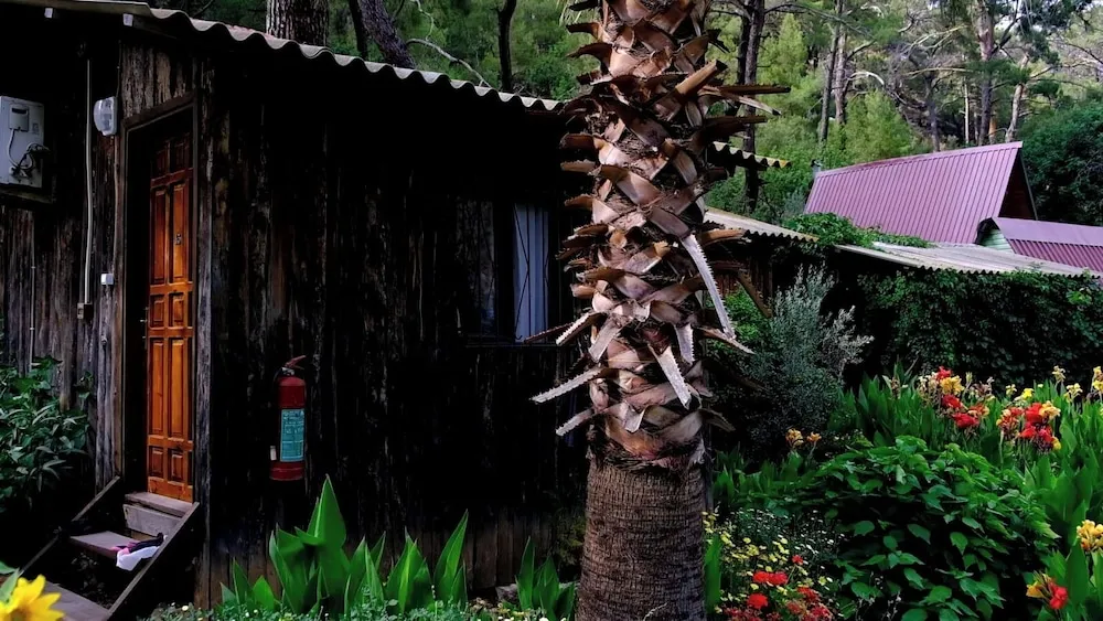 Klasik Room