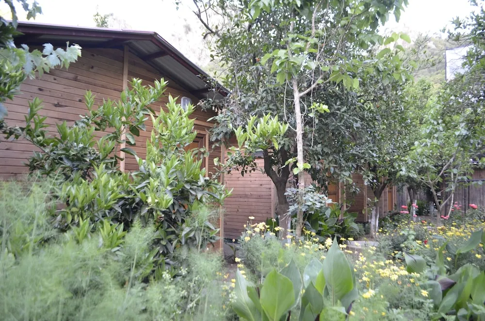 Klasik Room