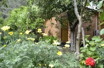 Olympos Mercan Bungalow