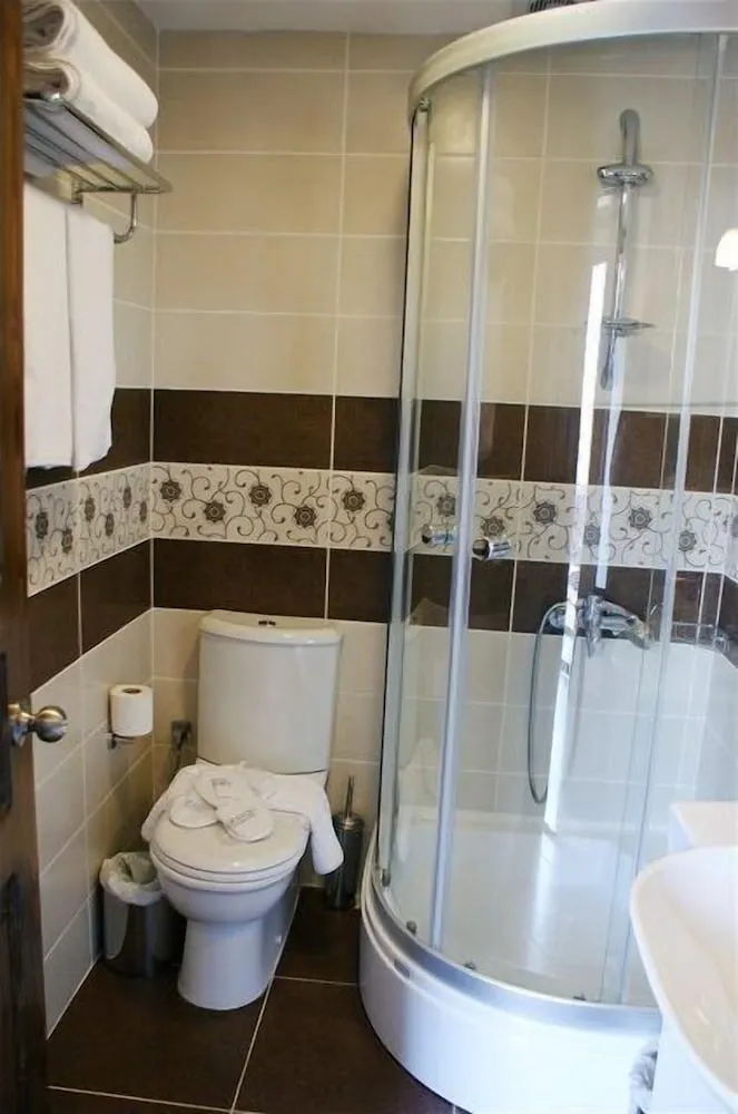 Deluxe Tek Büyük veya İki Ayrı Yataklı Oda (Single Use)