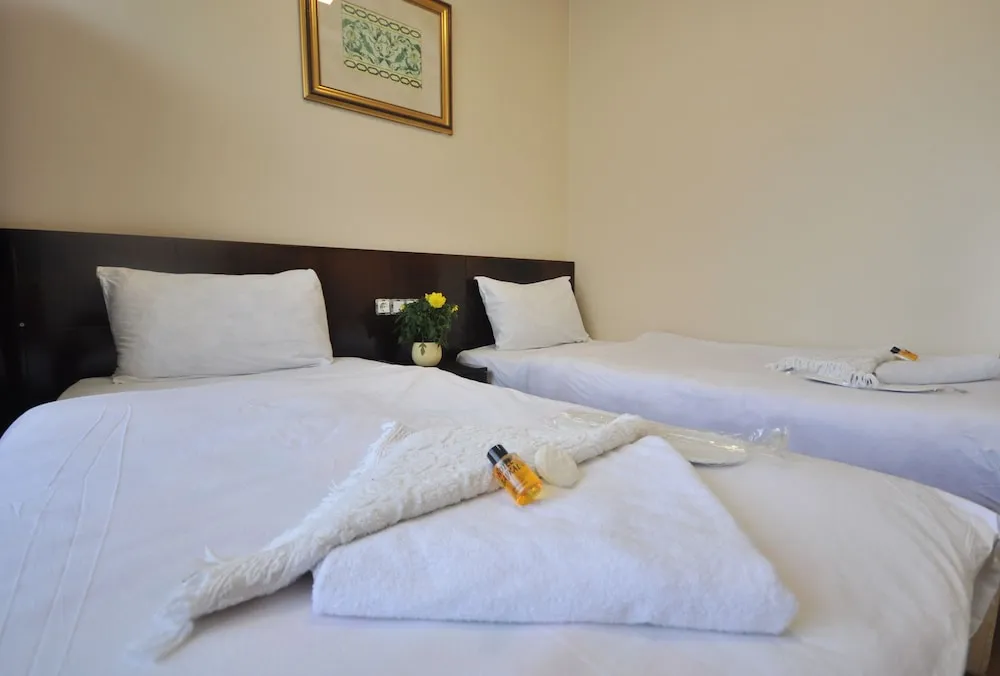 Classic İki Ayrı Yataklı Oda