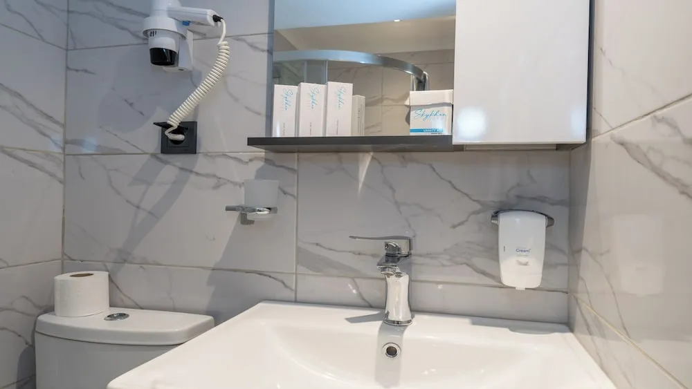 Standard Tek Büyük veya İki Ayrı Yataklı Oda, Sigara İçilmez, Şehir Manzaralı