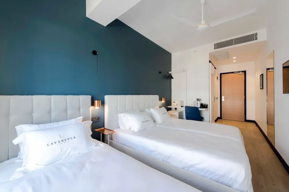 Premium Tek Büyük Yataklı Oda