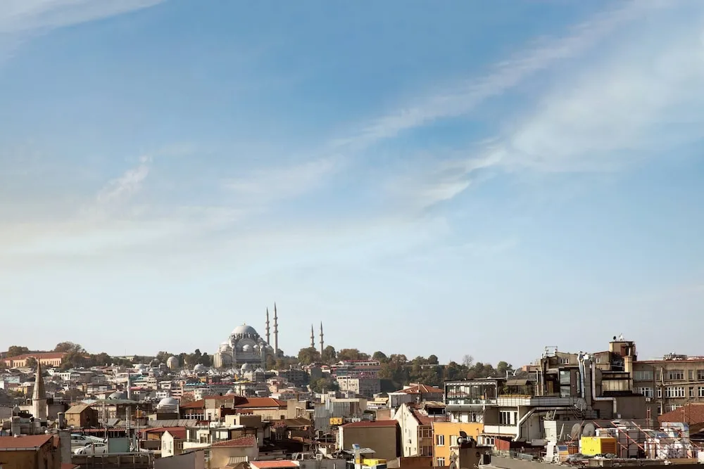 Deluxe Oda, 2 Tek Kişilik Yatak, Sigara İçilmez, Şehir Manzaralı