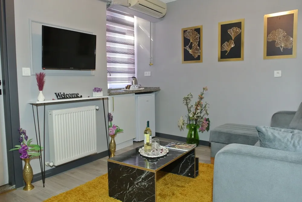 Junior Süit, 1 Yatak Odası, Buzdolabı ve Mikrodalga, Şehir Manzaralı