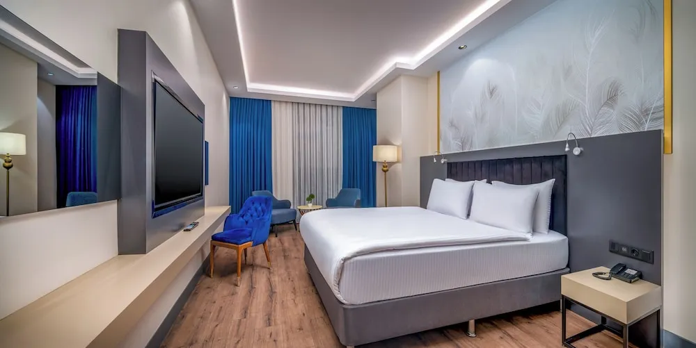Standard Oda, 1 Çift Kişilik Yatak, Engellilere Uygun, Sigara İçilmez (Walk-in Shower)