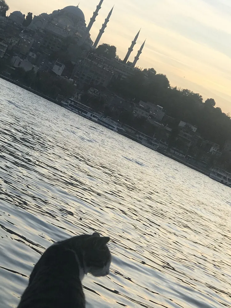 Basic Apart Daire, 1 Çift Kişilik Yatak ve Çekyat