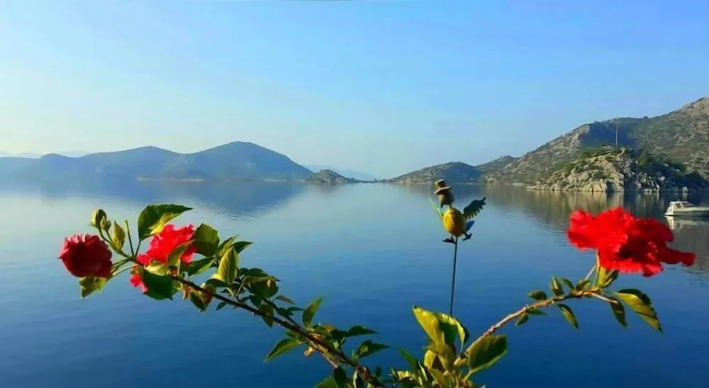 Panoramic Bungalov, Deniz Manzaralı