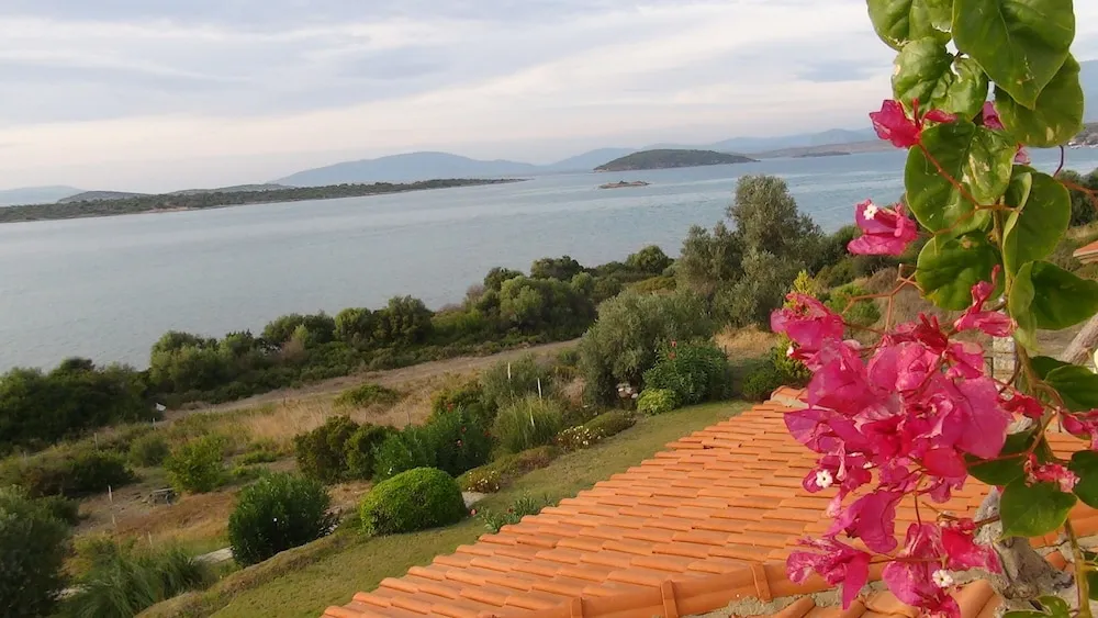 Bahçe