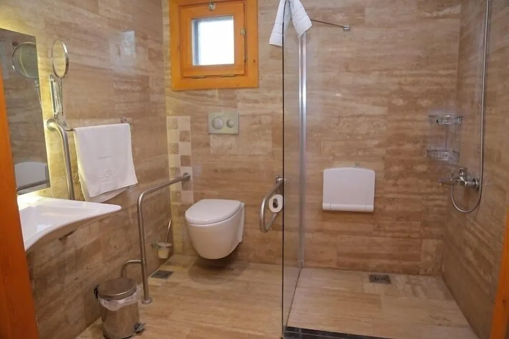 Standard Tek Büyük veya İki Ayrı Yataklı Oda, Bahçe Manzaralı