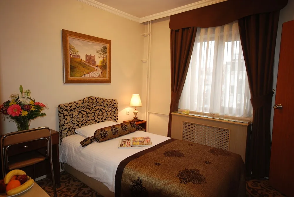 Standard Tek Kişilik Oda, 1 Tek Kişilik Yatak, Şehir Manzaralı