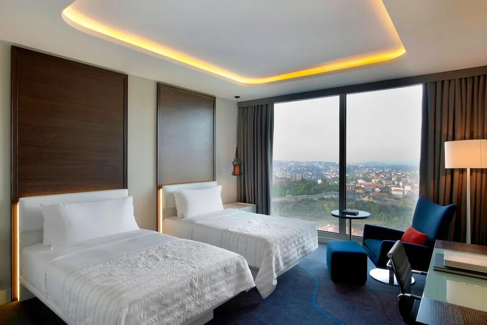 Deluxe Oda, 2 Tek Kişilik Yatak, Sigara İçilebilir, Şehir Manzaralı