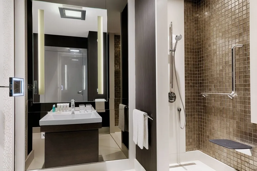 Deluxe Oda, 1 En Büyük (King) Boy Yatak, Sigara İçilmez, Şehir Manzaralı
