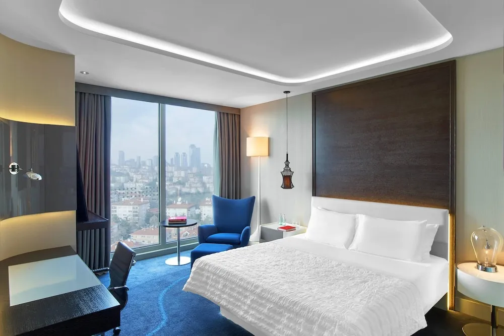 Deluxe Oda, 1 En Büyük (King) Boy Yatak, Sigara İçilmez, Şehir Manzaralı
