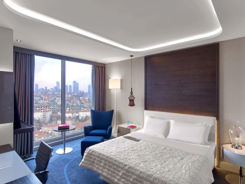 Deluxe Oda, 1 En Büyük (King) Boy Yatak, Sigara İçilmez, Şehir Manzaralı
