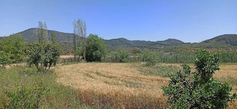 Elite Tek Büyük Yataklı Oda