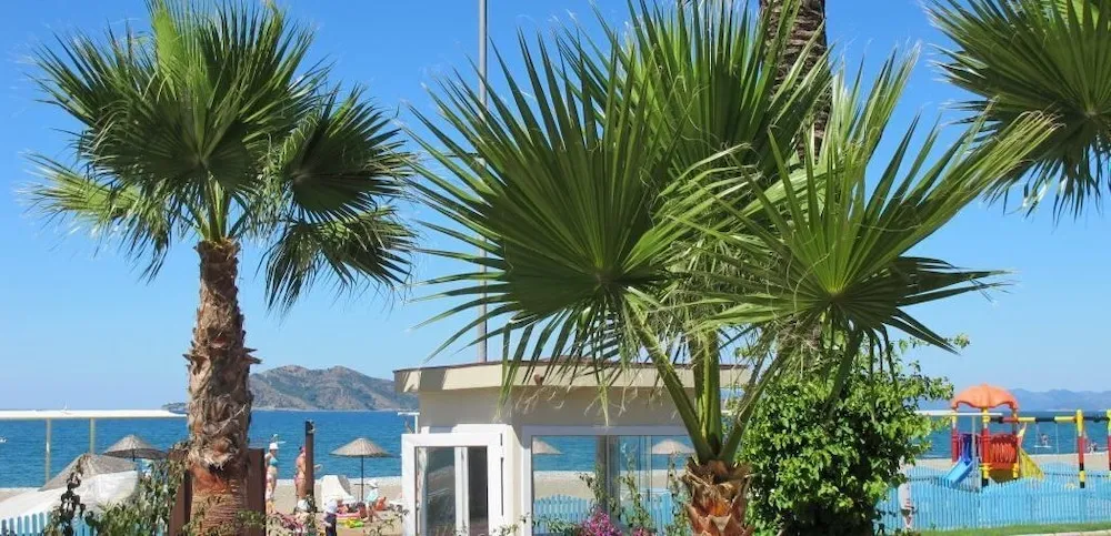 Bahçe