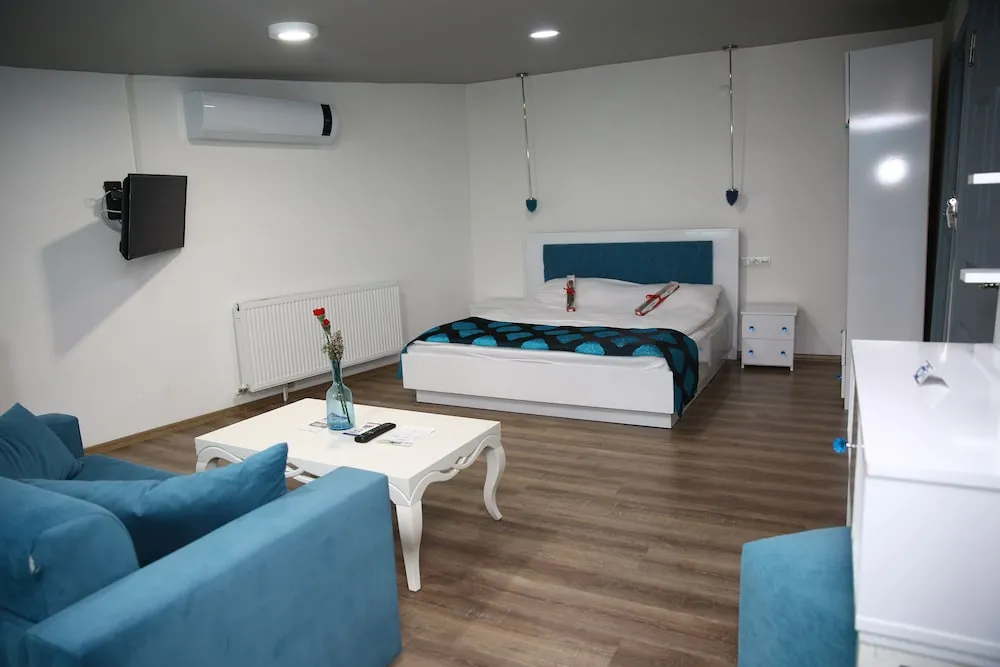 Junior Süit, 1 Yatak Odası, Şehir Manzaralı