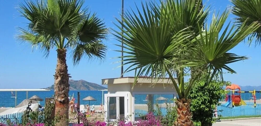 Dış mekân