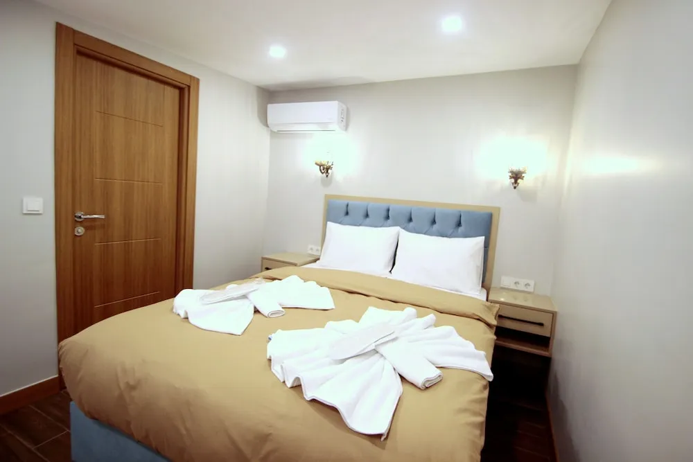 Deluxe Tek Büyük veya İki Ayrı Yataklı Oda, Park Manzaralı