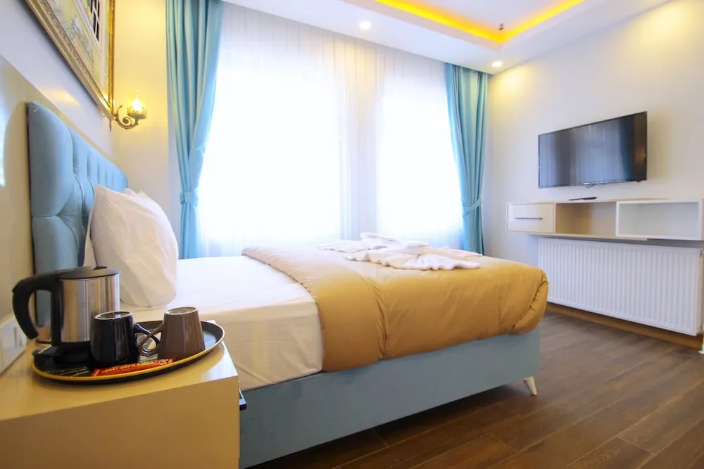 Deluxe Tek Kişilik Oda, Park Manzaralı