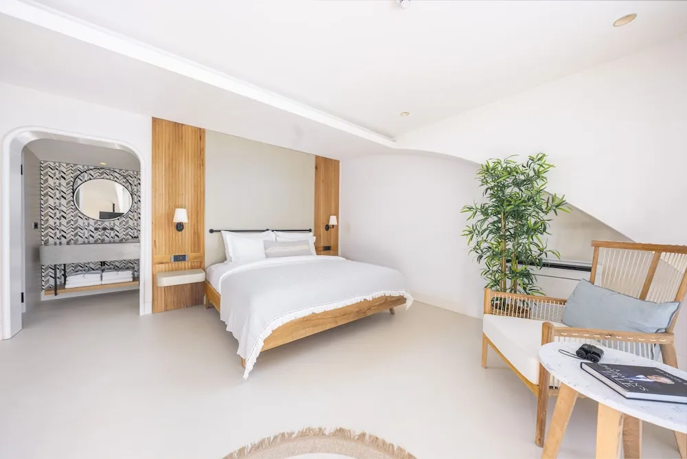 Standard Çatı Katı (Loft)