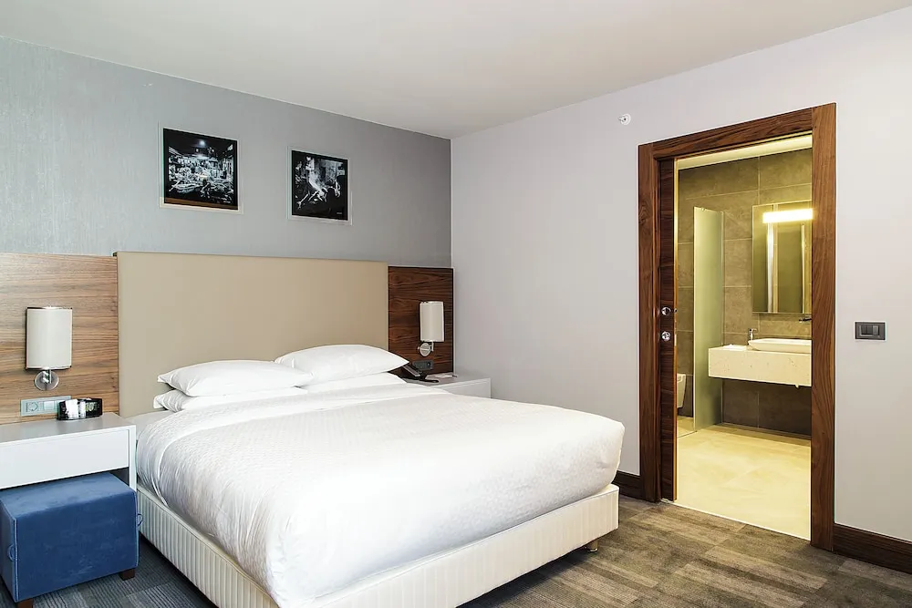 Comfort King Suite