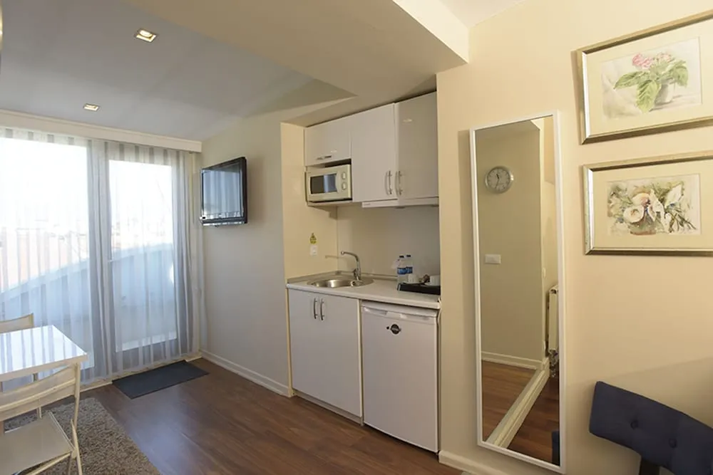 Standard Stüdyo, 1 Çift Kişilik veya 2 Tek Kişilik Yatak, Şehir Manzaralı