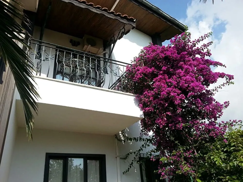 Standard Oda, Balkon