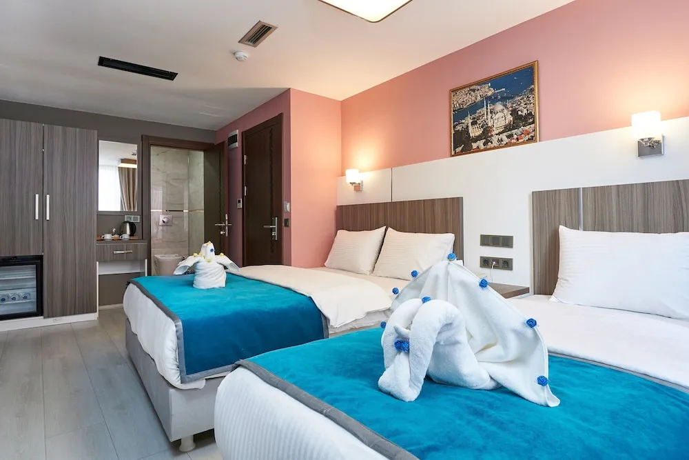 Superior Tek Büyük veya İki Ayrı Yataklı Oda