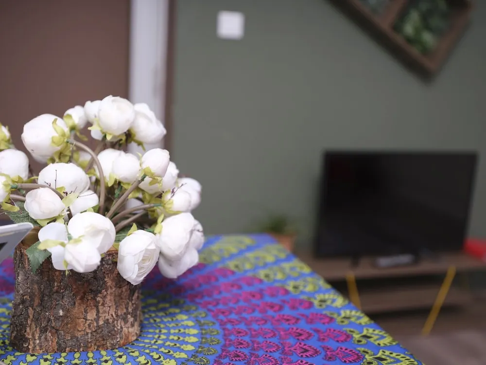 Comfort Apart Daire, 1 Çift Kişilik Yatak ve Çekyat, Mutfak