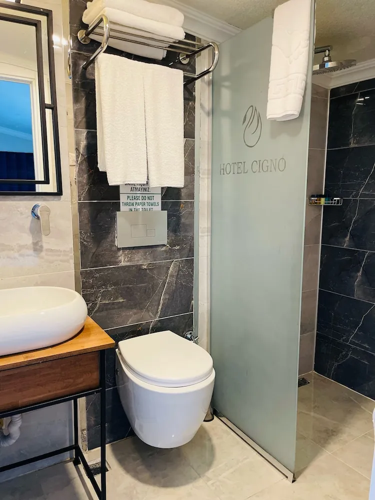 Çatı Katı (Loft), 1 Büyük (Queen) Boy Yatak, Balkon, Şehir Manzaralı