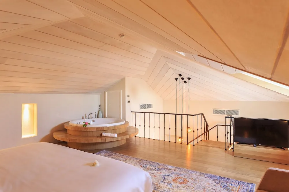 Deluxe Çatı Katı Süiti (Penthouse)
