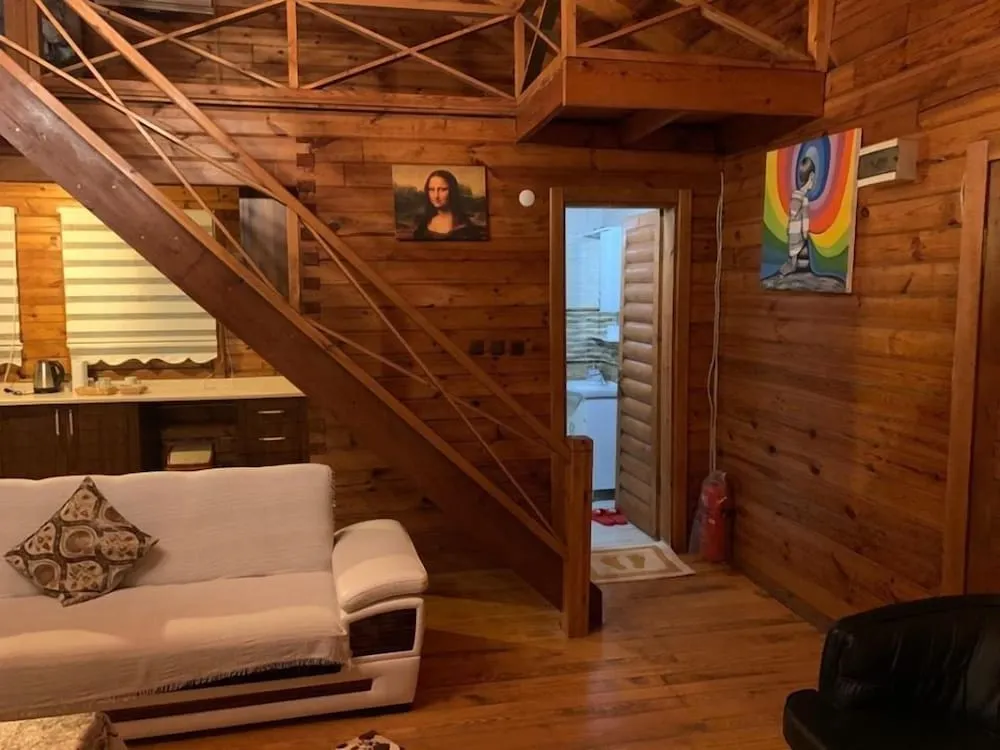 10 Elite Tree House