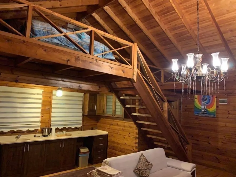 10 Elite Tree House