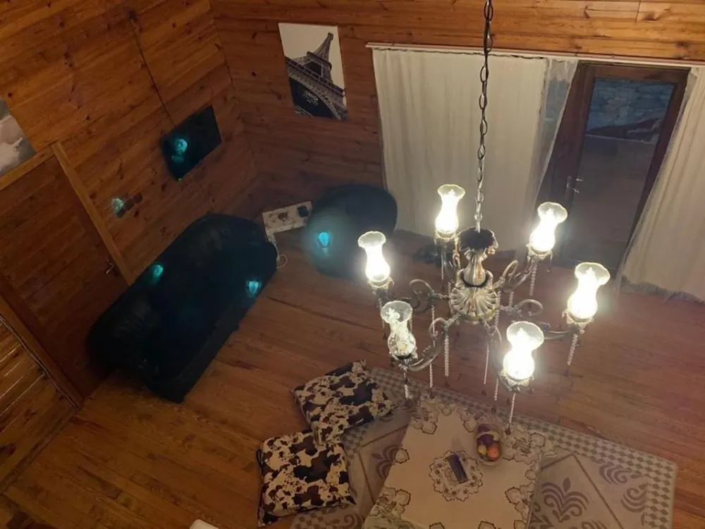 10 Elite Tree House
