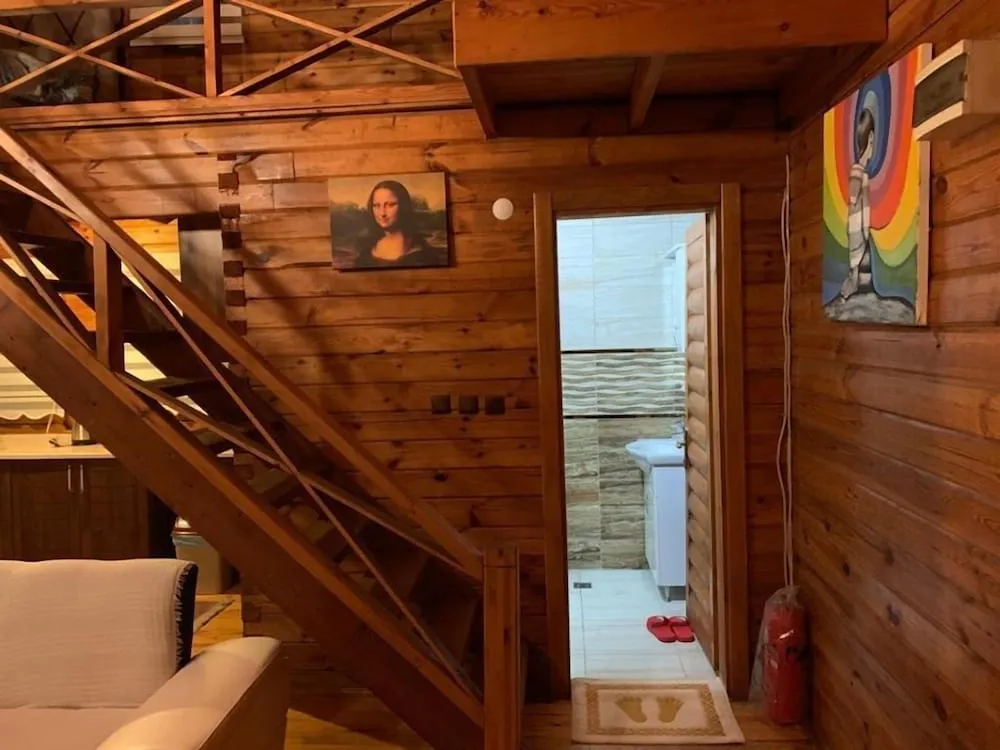 10 Elite Tree House