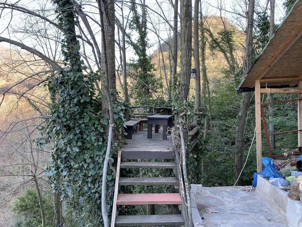 10 Elite Tree House