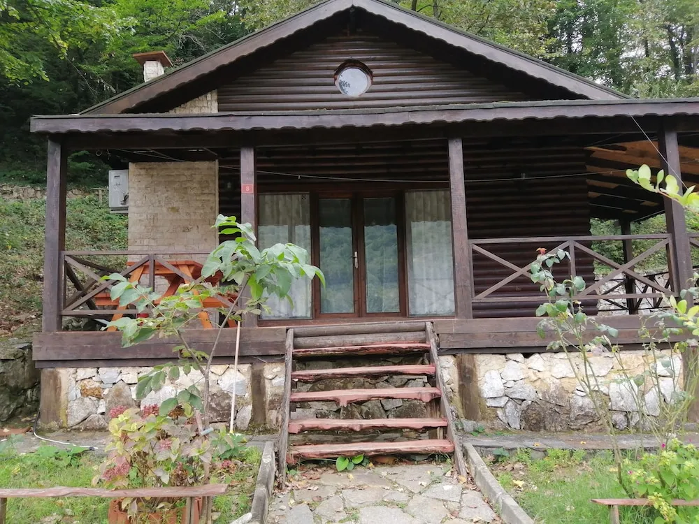 8 Family Tree House