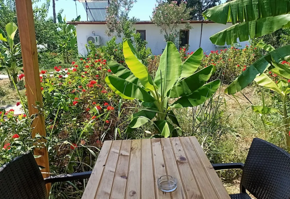Basic Bungalov, 1 Yatak Odası, Bahçe Manzaralı, Bahçeli